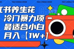 小红书养生花茶，冷门暴力项目，最适合小白做，月入【1W+】