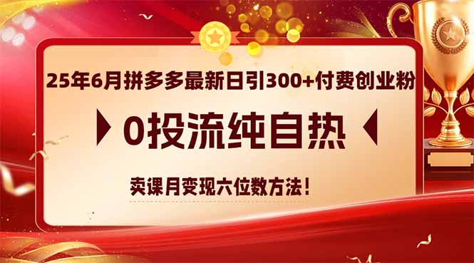 2025年6月拼多多最新日引300+付费创业粉，0投流纯自热 卖课月变现六位数方法